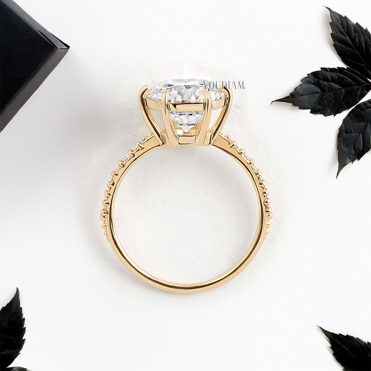 Round Lab Diamond in Six Prongs with Sixteen Accented Diamond Ring - YDJLR20